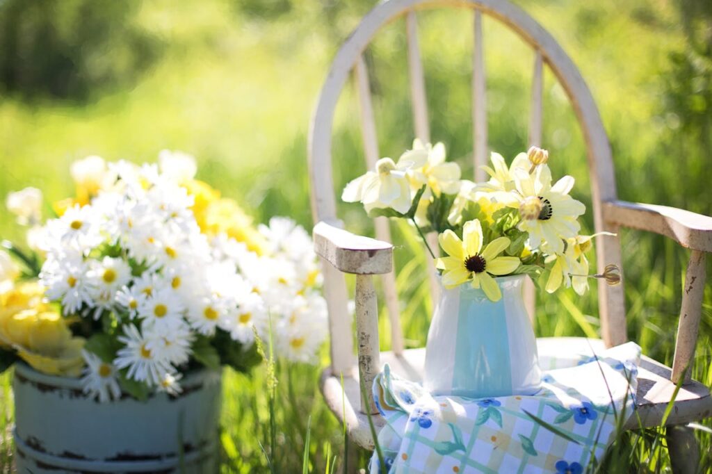 tuin gezellig tips