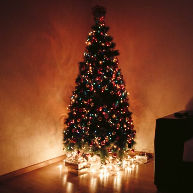 Zo creëer je een duurzame kerstboomlook