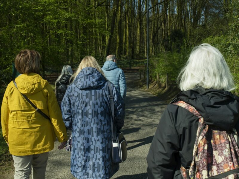 Groep volwassenen wandelt in sportkleding over een landweg