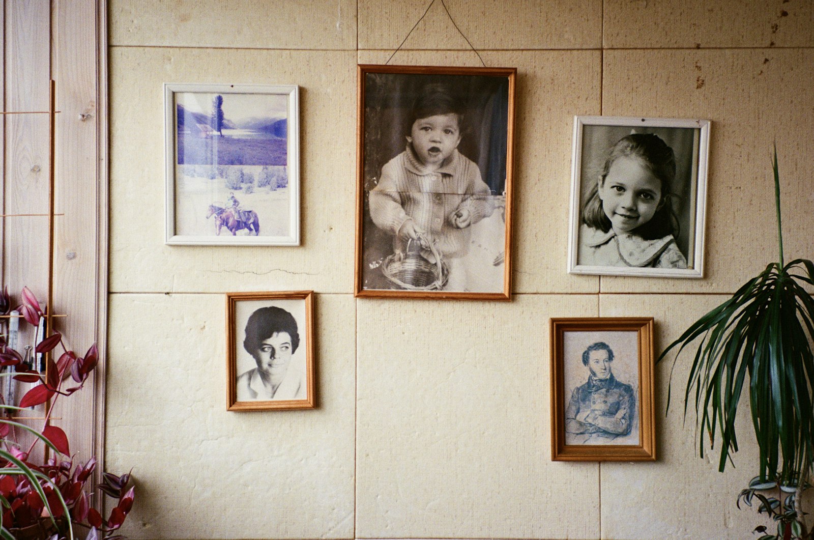 Volwassen vrouw kijkt peinzend naar oude familiefoto's